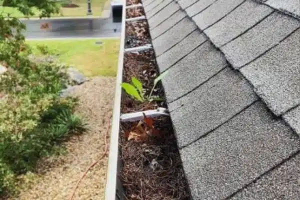 gutter cleaning service company near me in mountain brook al 011.jpg.webp